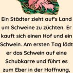 Ein Städter zieht auf's Land um Schweine