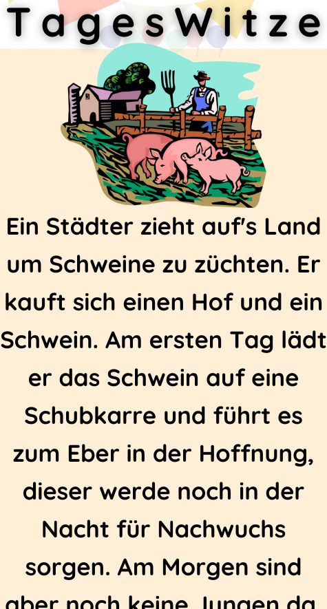 Ein Städter zieht auf's Land um Schweine