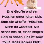 Eine Giraffe und ein Häschen 