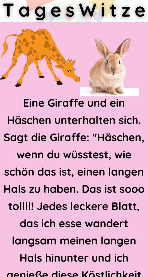 Eine Giraffe und ein Häschen 