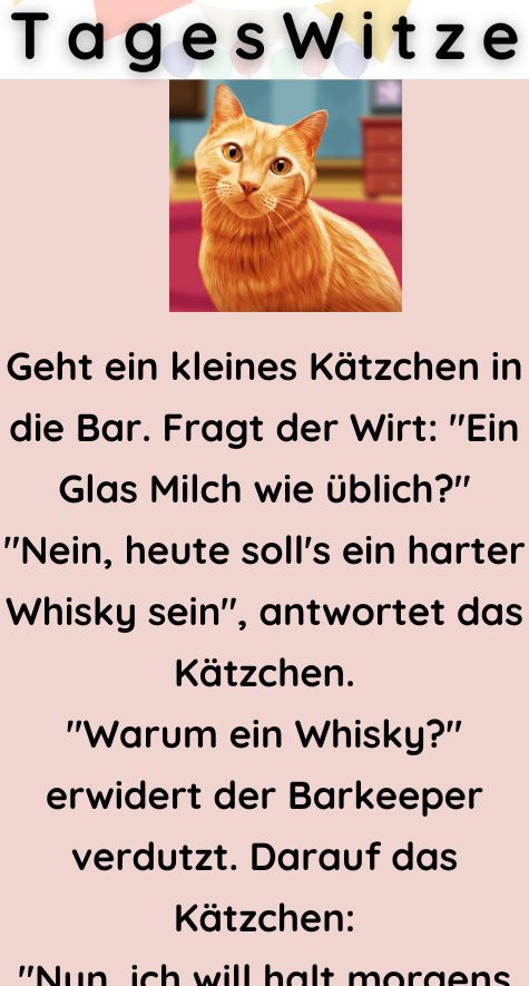 Geht ein kleines Kätzchen in die Bar