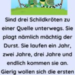 Sind drei Schildkröten zu einer Quelle