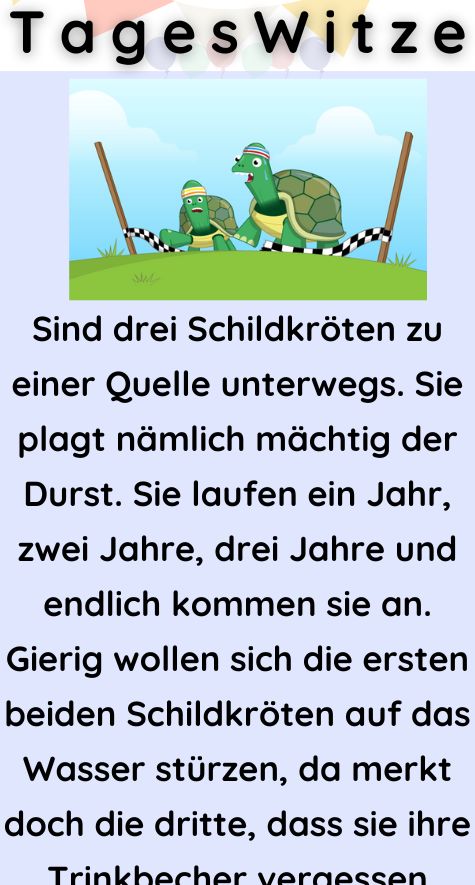 Sind drei Schildkröten zu einer Quelle