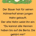 Der Bauer hat für seinen Hühnerhof