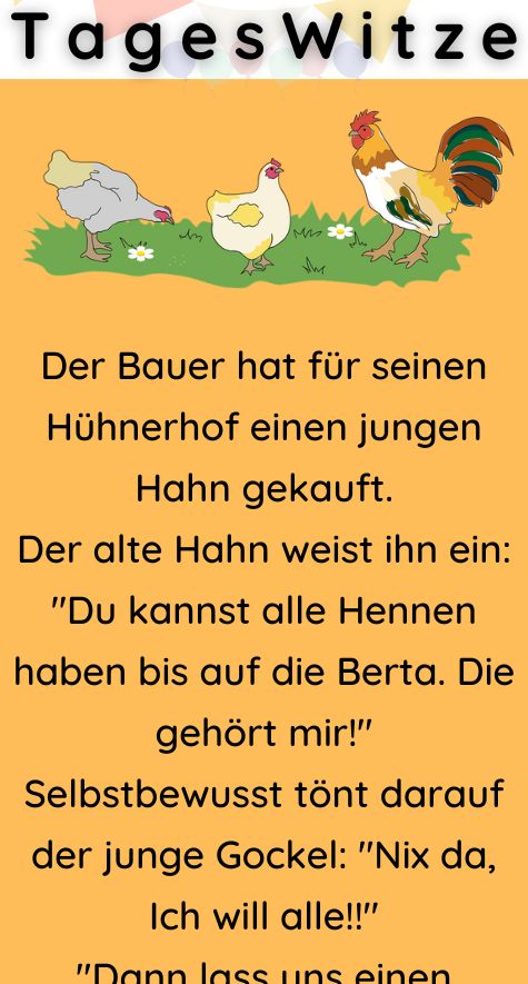 Der Bauer hat für seinen Hühnerhof