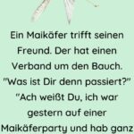 Ein Maikäfer trifft seinen Freund