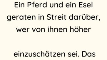 Ein Pferd und ein Esel geraten