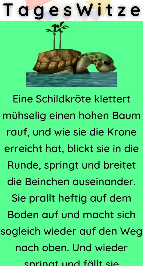 Eine Schildkröte klettert mühselig