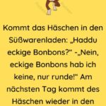 Kommt das Häschen in den Süßwarenladen