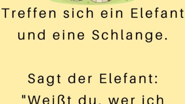 Treffen sich ein Elefant und eine