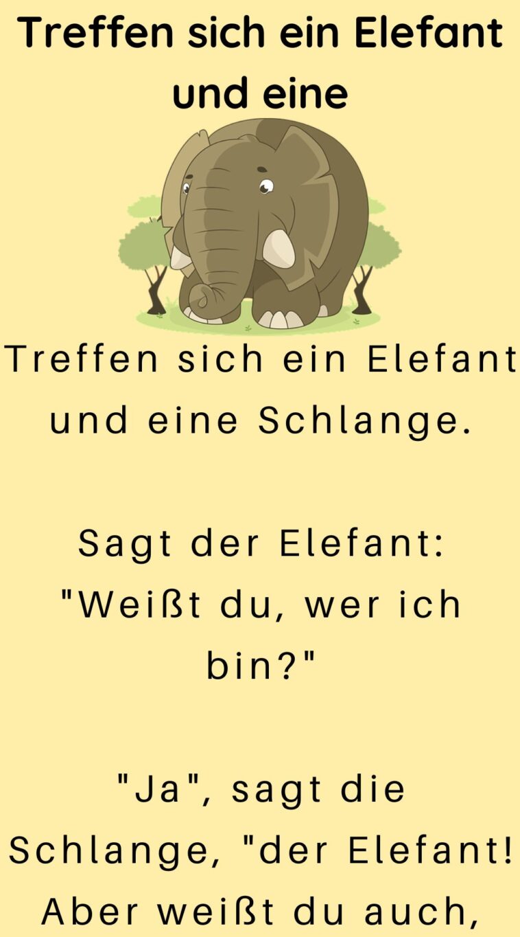 Treffen sich ein Elefant und eine