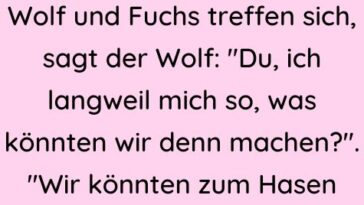 Wolf und Fuchs treffen sich