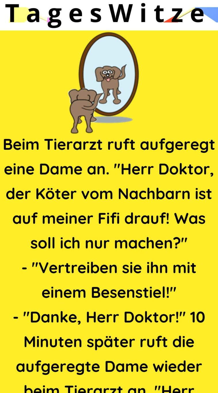 Beim Tierarzt ruft aufgeregt eine Dame an