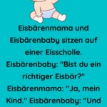 Eisbärenmama und Eisbärenbaby sitzen