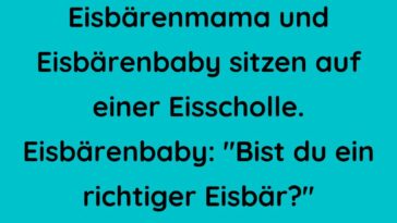 Eisbärenmama und Eisbärenbaby sitzen