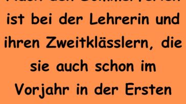 Nach den Sommerferien ist bei der Lehrerin und ihren Zweitklässlern