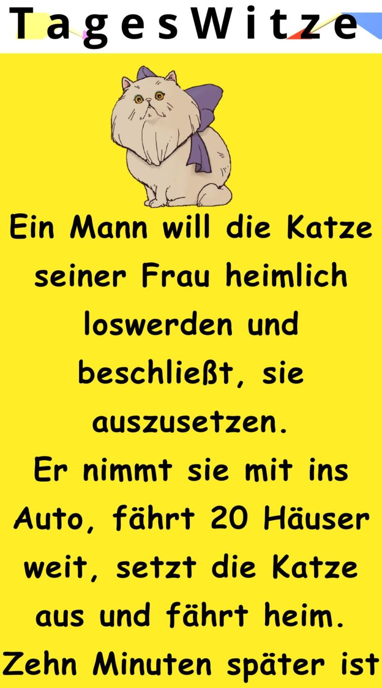 Ein Mann will die Katze seiner