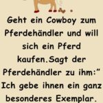 Geht ein Cowboy zum Pferdehändler