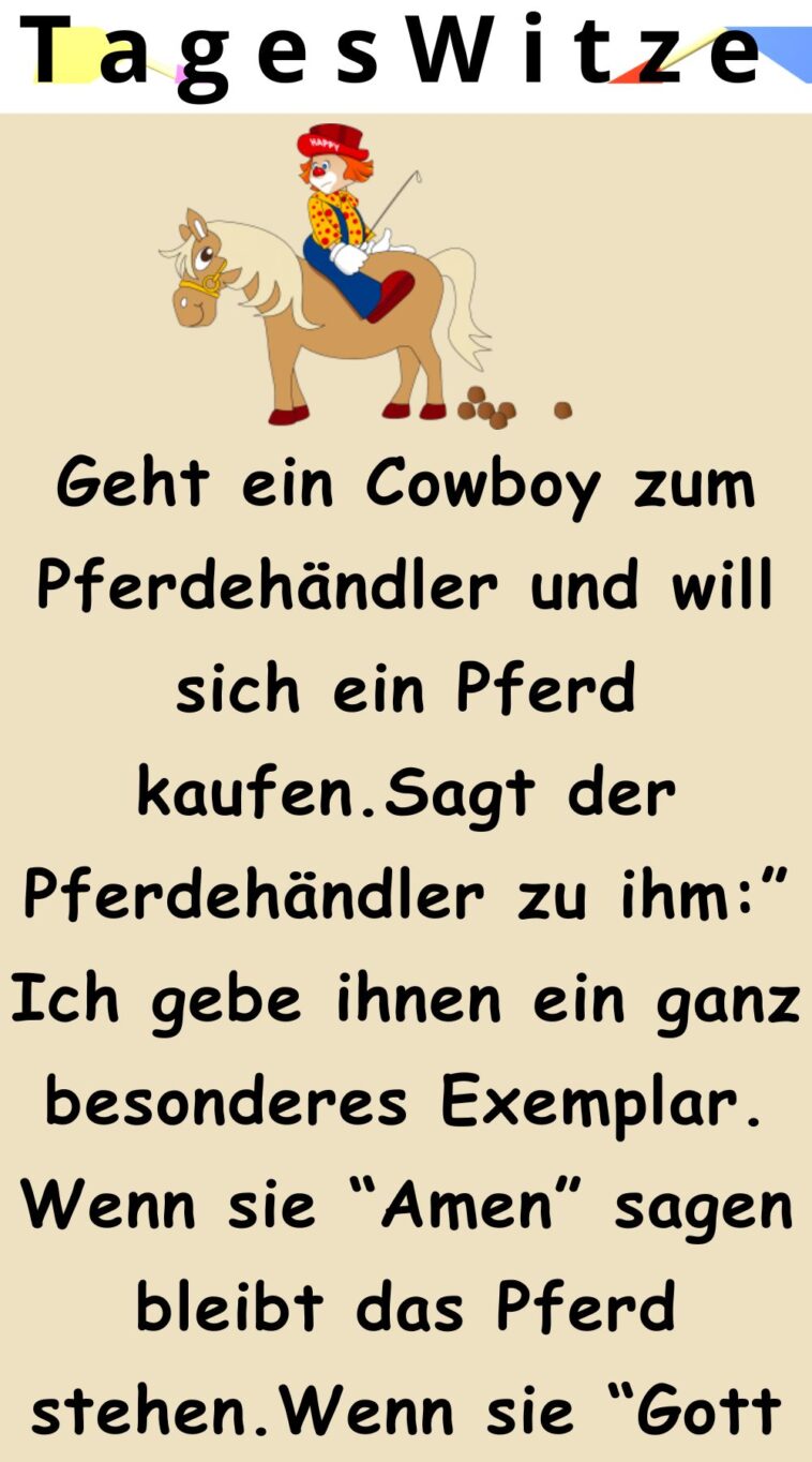 Geht ein Cowboy zum Pferdehändler