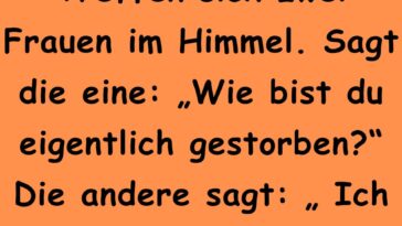 Treffen sich zwei Frauen im Himmel