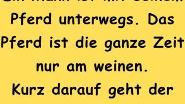 Ein Mann ist mit seinem Pferd unterwegs