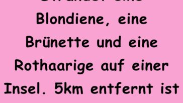 Eine Brünette und eine Rothaarige auf einer Insel