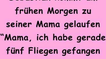 Ich habe gerade fünf Fliegen gefangen