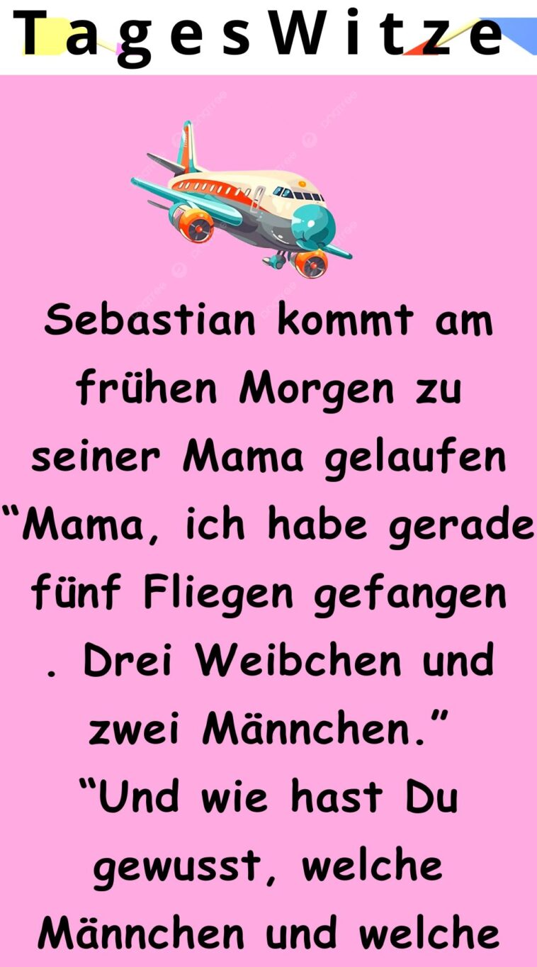 Ich habe gerade fünf Fliegen gefangen