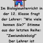 Im Biologieunterricht in der 12