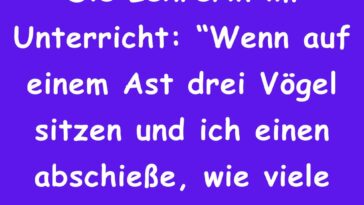 Wenn auf einem Ast drei Vögel sitzen