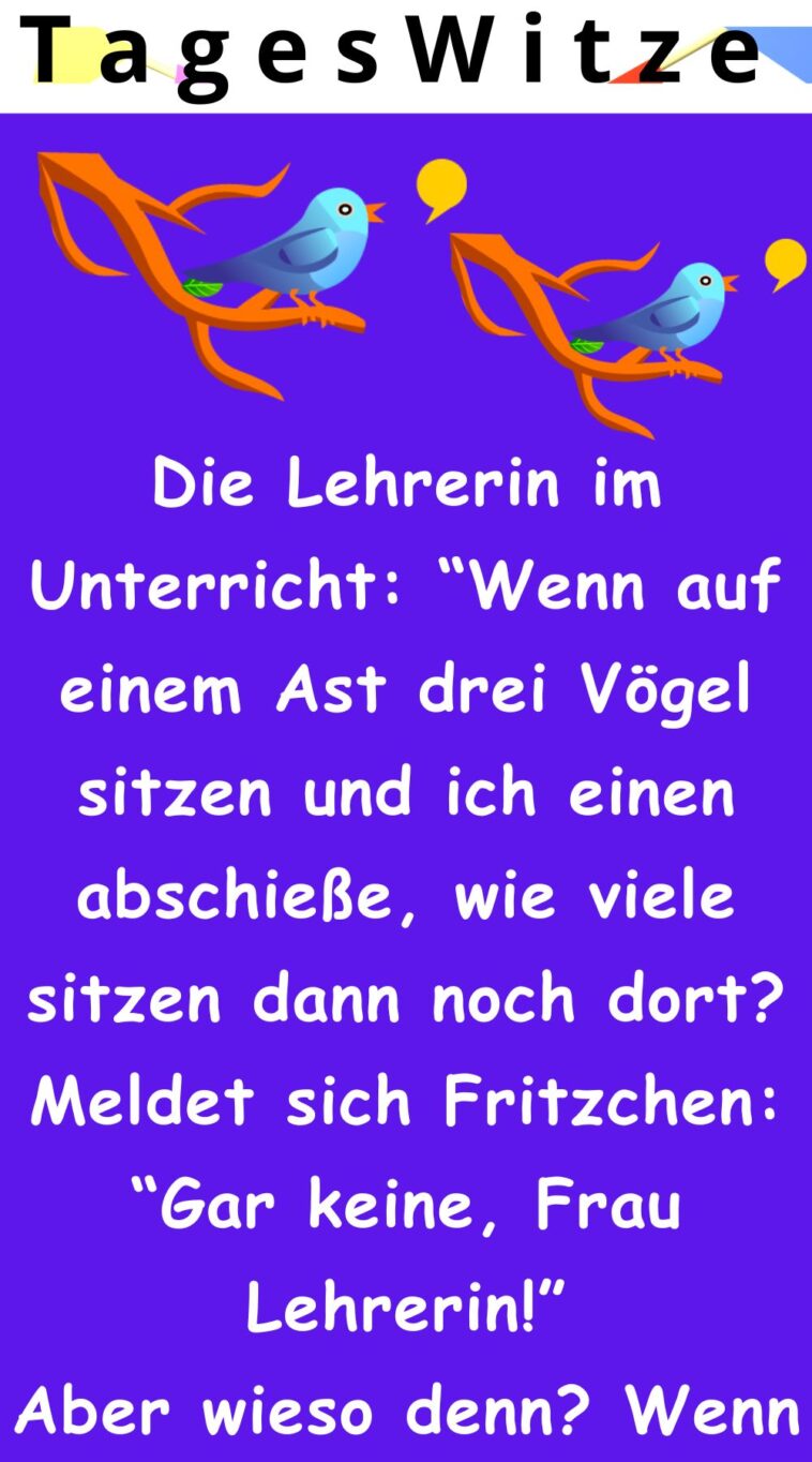 Wenn auf einem Ast drei Vögel sitzen