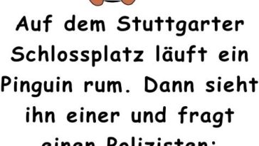 Auf dem Stuttgarter Schlossplatz läuft ein Pinguin rum