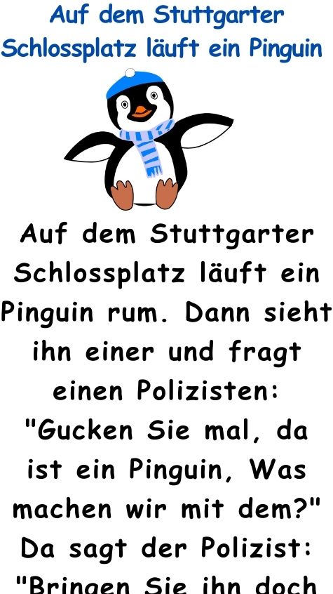 Auf dem Stuttgarter Schlossplatz läuft ein Pinguin rum