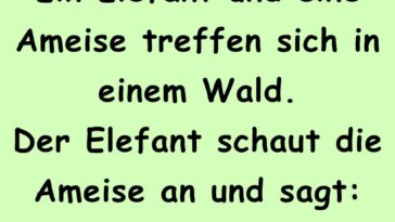 Ein Elefant und eine Ameise treffen sich in einem Wald