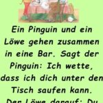 Ein Pinguin und ein Löwe gehen zusammen