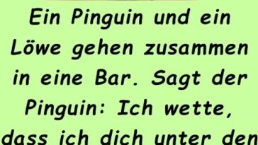 Ein Pinguin und ein Löwe gehen zusammen