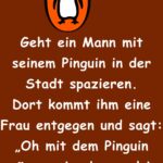 Geht ein Mann mit seinem Pinguin in der Stadt spazieren