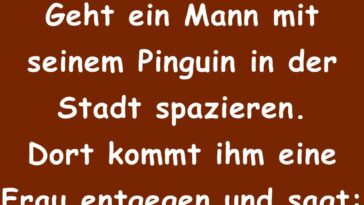 Geht ein Mann mit seinem Pinguin in der Stadt spazieren