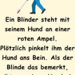 Ein Blinder steht mit seinem Hund an einer roten Ampel