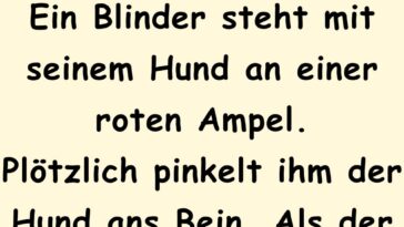 Ein Blinder steht mit seinem Hund an einer roten Ampel