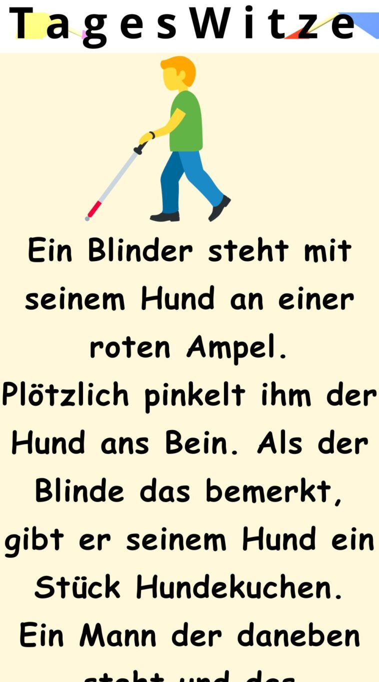 Ein Blinder steht mit seinem Hund an einer roten Ampel