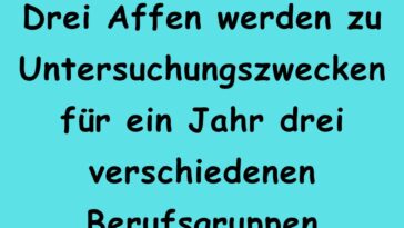 Drei Affen werden zu Untersuchungszwecken